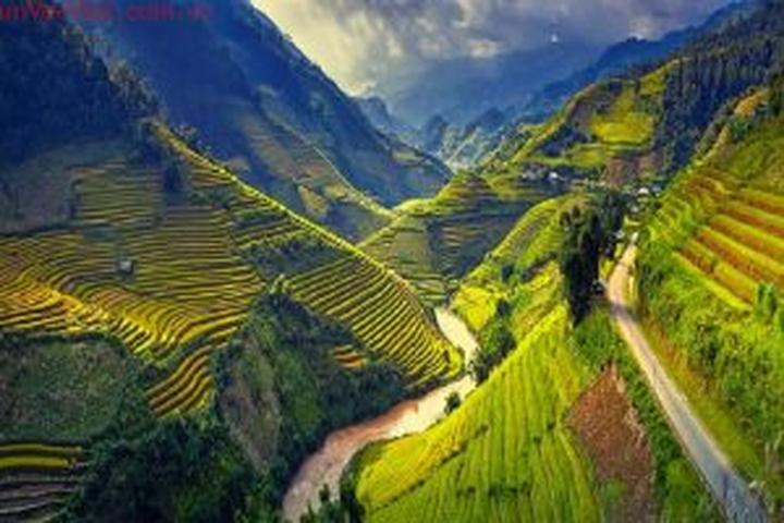 Chuyên gia Hotspot Matrix phân tích: Các nhà khoa học phân tích và marketing video