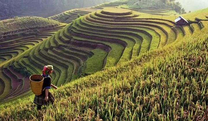 ---Bài viết 2---