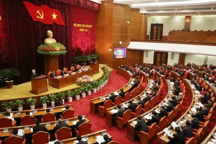 Bonobo: Nguồn Gốc Tiến Hóa Của Ngôn Ngữ Con Người?
