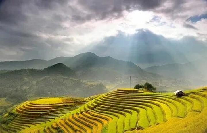 Từ 3 kiểu giày 